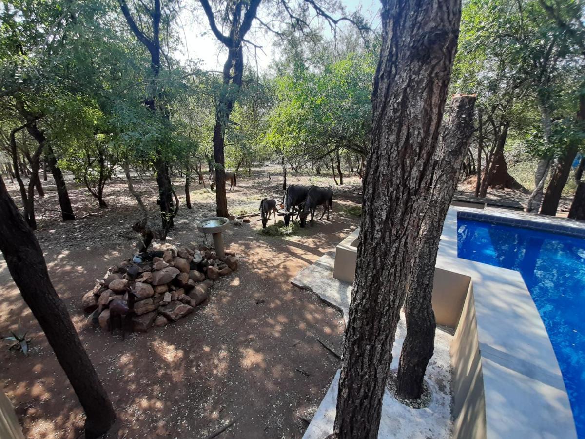 African Sky Villas Marloth Park Buitenkant foto